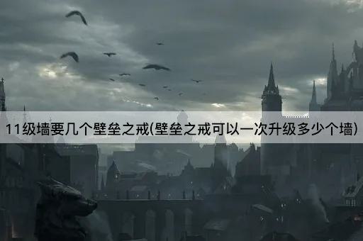 11级墙需几枚壁垒之戒(壁垒之戒单次可升墙数)
