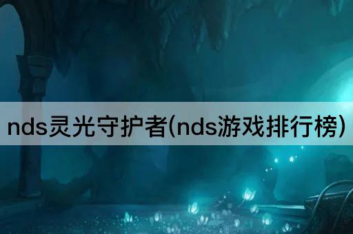 nds灵光守护者(nds游戏排行榜)
