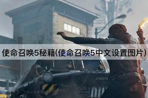 使命召唤5秘籍(使命召唤5中文设置*)