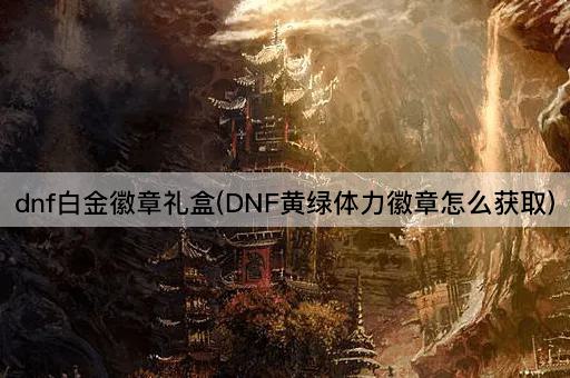dnf白金徽章礼盒(DNF黄绿体力徽章怎么获取)
