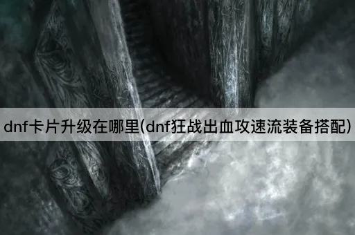 dnf卡片升级在哪里(dnf狂战出血攻速流装备搭配)