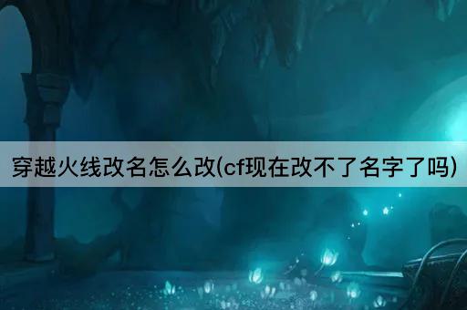 穿越火线改名怎么改(cf现在改不了名字了吗)