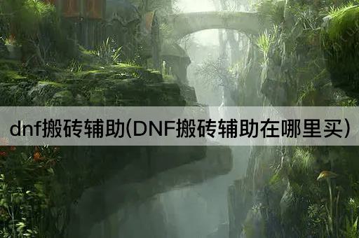 dnf搬砖辅助(DNF搬砖辅助在哪里买)