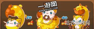 洛克王国喵喵进化图(武斗酷猫进化武斗灵猫)