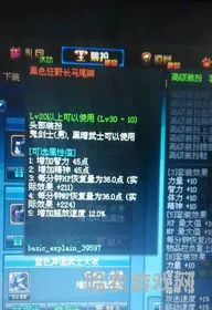 黑暗武士异次元属性选什么(黑暗武士堆力量还是智力)