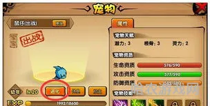 造梦西游4宠物怎么进化(宠物进化需要哪些材料)
