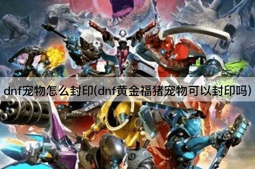 dnf宠物怎么封印(dnf黄金福猪宠物可以封印吗)
