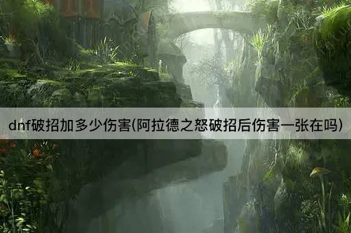 dnf破招加多少伤害(阿拉德之怒破招后伤害一张在吗)