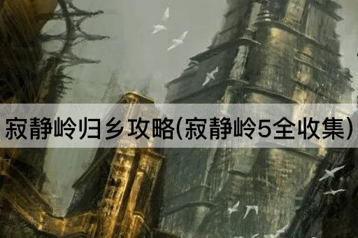 寂静岭归乡攻略(寂静岭5全收集)
