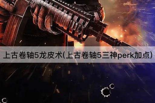 上古卷轴5龙皮术(上古卷轴5三神perk加点)