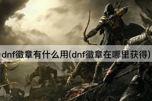 dnf徽章有什么用(dnf徽章在哪里获得)