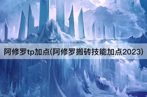 阿修罗tp加点(阿修罗搬砖技能加点2023)