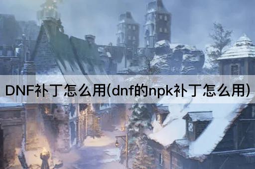 DNF补丁怎么用(dnf的npk补丁怎么用)