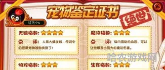 洛克王国音速犬极品性格(风暴战犬物攻还是魔攻)
