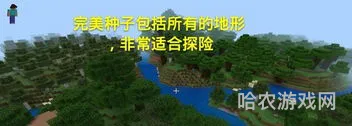 我的世界最完美种子(我的世界十大神级种子)