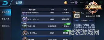 王者荣耀战队系统(王者荣耀战队需要几个人)