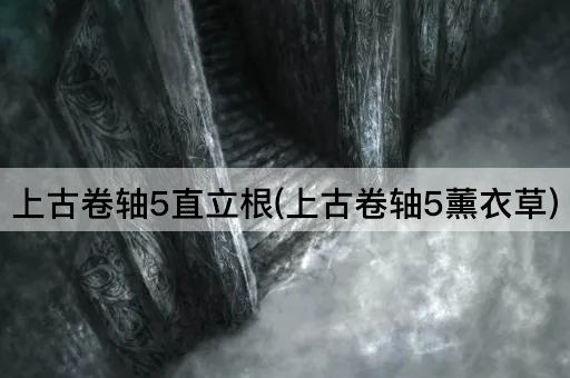 上古卷轴5直立根(上古卷轴5薰衣草)