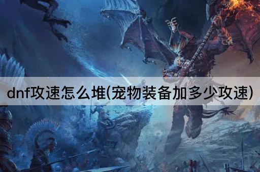 dnf攻速怎么堆(宠物装备加多少攻速)