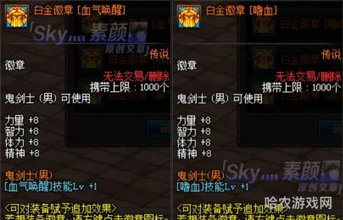110版本红眼毕业白金徽章(dnf红眼白金徽章选什么)